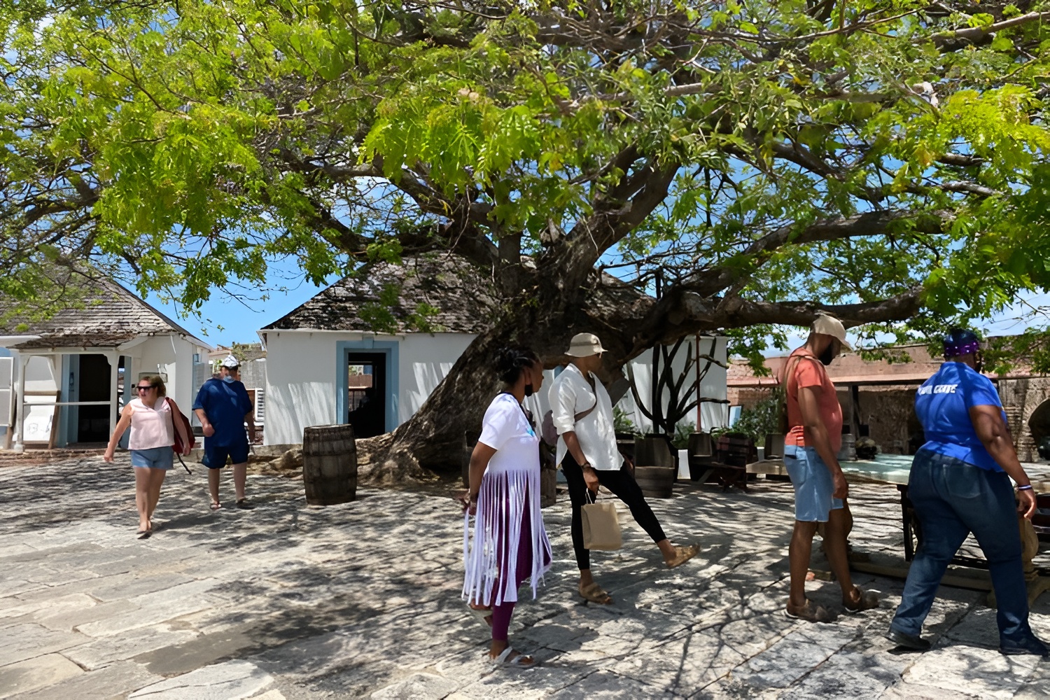 Kingston Jamaica local culture experience TML Travel