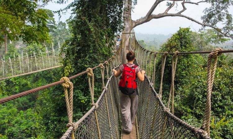 Affordable Vacation Packages